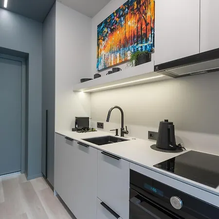 Apartment Stylish Mini Apartment, Self Check-in Kaunas