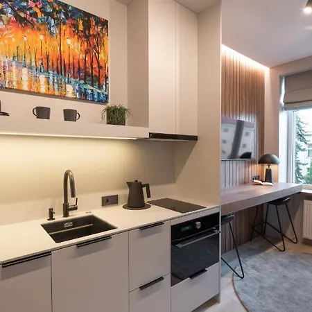 Stylish Mini Apartment, Self Check-in Kaunas